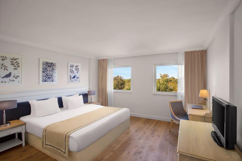 Senior Suite image 3