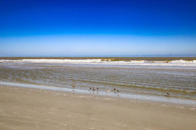 Ocean Breeze - image 16