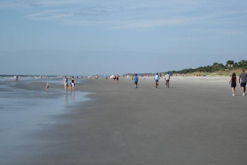 Ocean Breeze - image 12