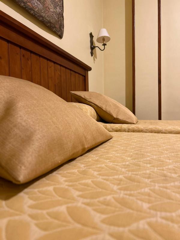 Double or Twin Room image 1