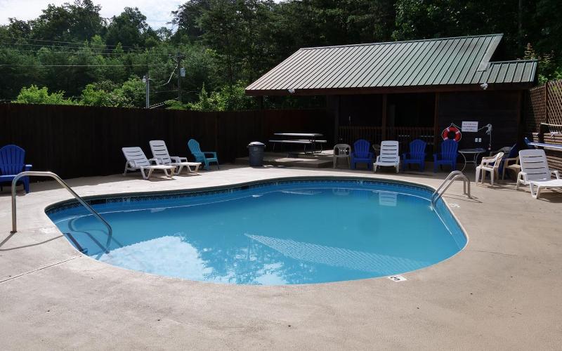 Bear Retreat・Dogs Welcome・Game Room・Hot Tub・Community Pool Access - image 30