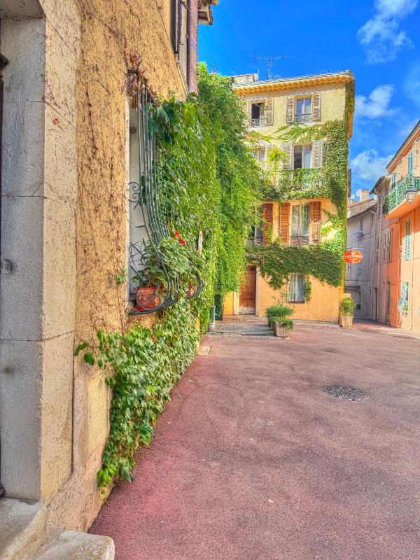 One-Bedroom Apartment image 2