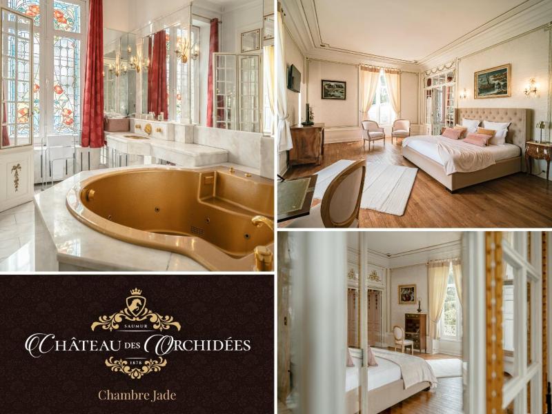 Deluxe King Suite image 1
