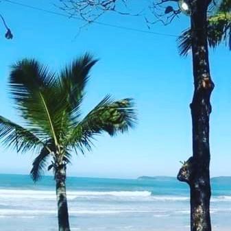 Apartamento em condomínio de frete pra praia - image 19