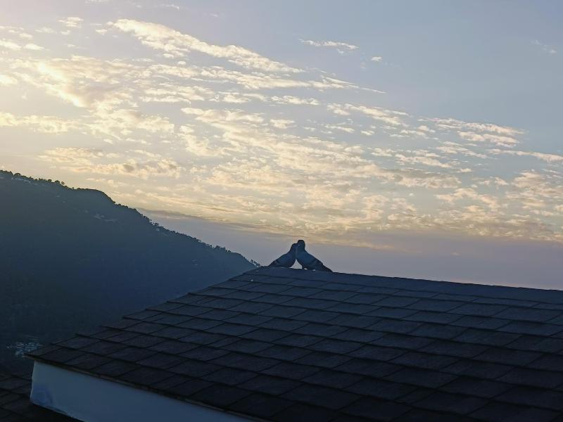 You and Me at Twin Oaks kasauli - image 48