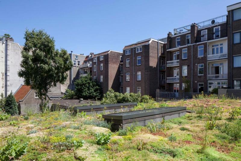 Conscious Hotel Vondelpark - image 6
