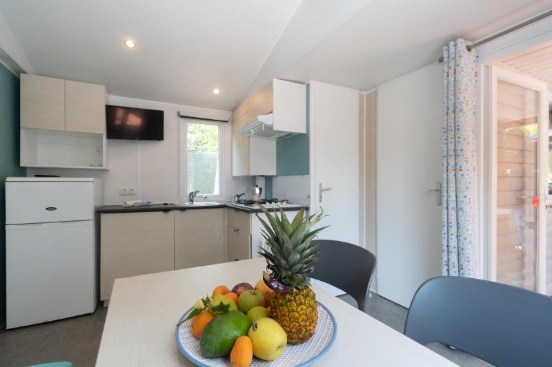 Mobile Home image 4