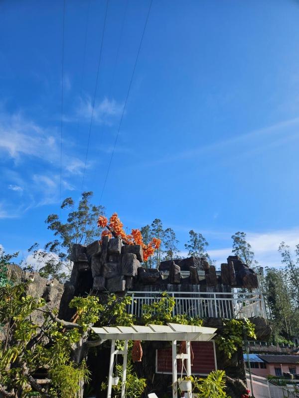 S & B Dreams House - image 42