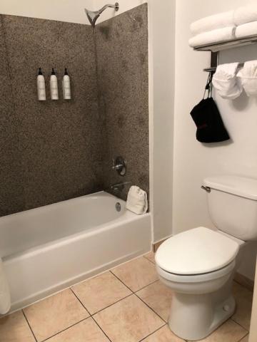 Fairfield Inn & Suites by Marriott Houston Hobby Airport - image 15