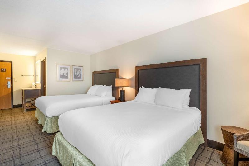 Queen Room with Two Queen Beds - Non-Smoking image 2