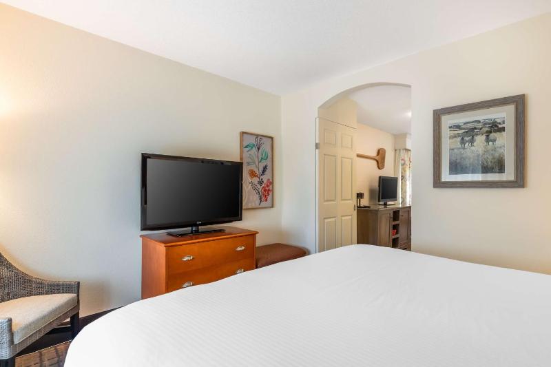 Executive King Suite - Non-Smoking image 3