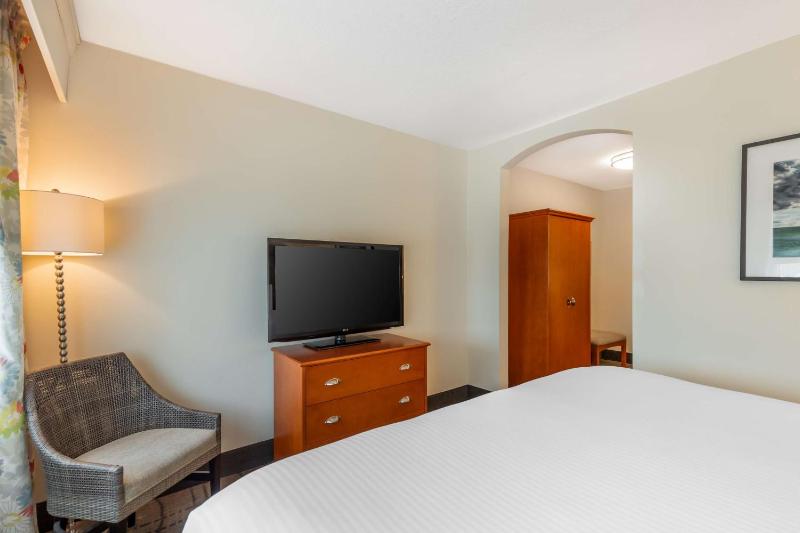 King Suite - Non-Smoking image 3