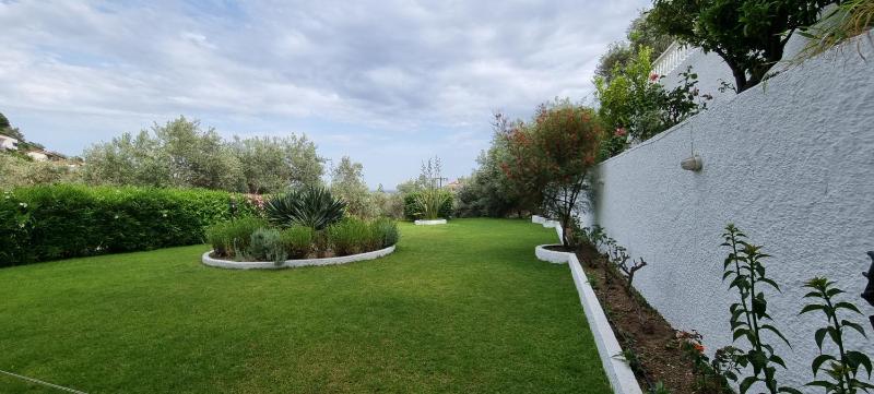 Olive Grove Studios - image 23