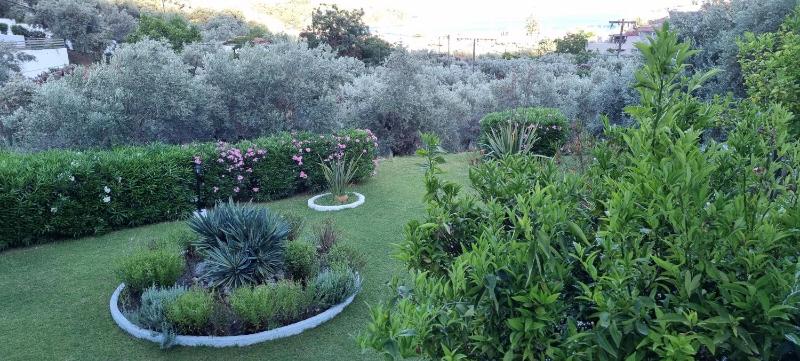 Olive Grove Studios - image 10
