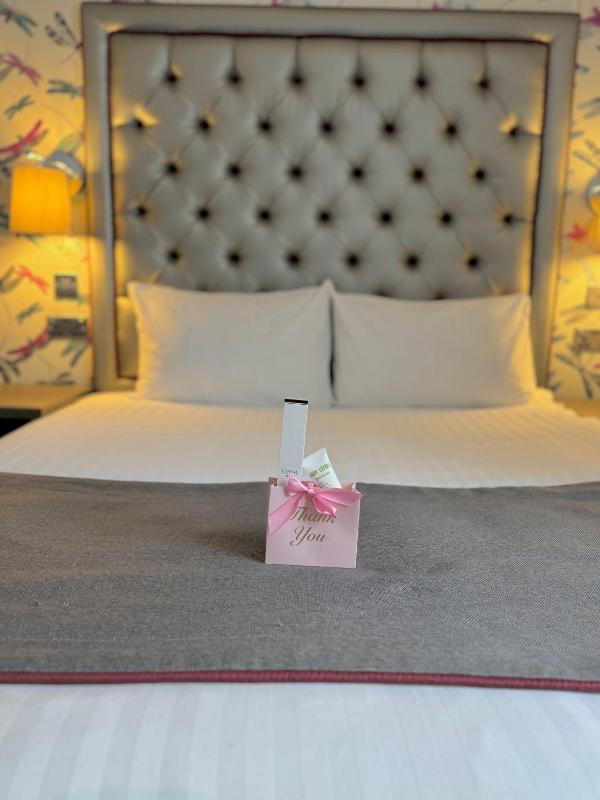 Deluxe Double Room image 4