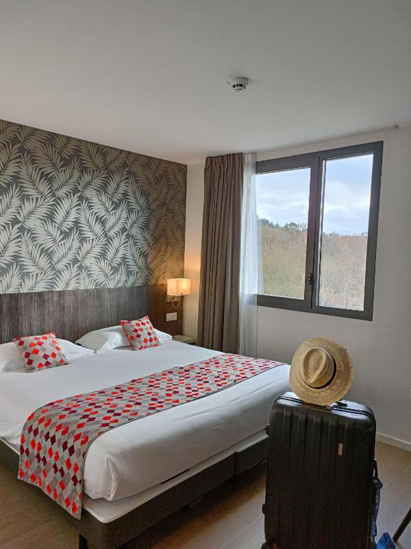Superior Double Room image 2