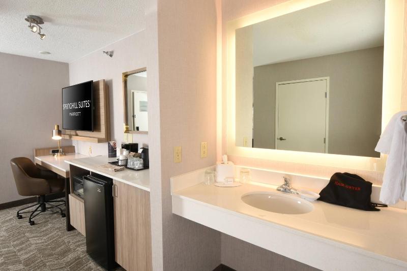 King Suite with Sofa Bed - Hearing Accessible image 2
