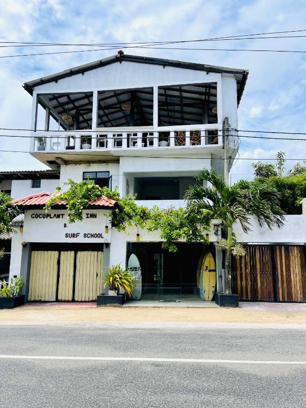 Cocoplant Surf Inn - image 4