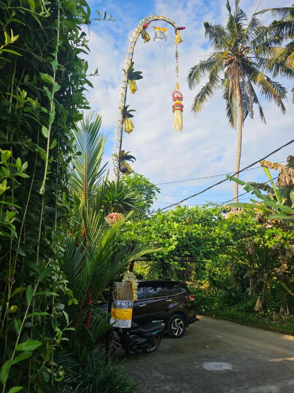 Ubud Paradise Luxury Villa - image 11