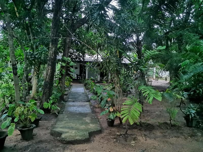 Mango Garden Eco Resort sigiriya - image 11