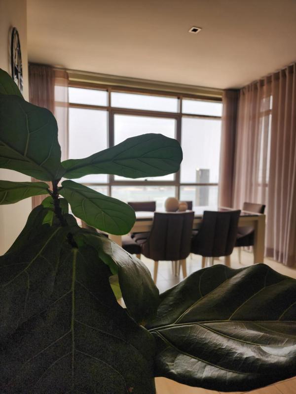 Apartamento com Vista para a Baía de Luanda - image 16