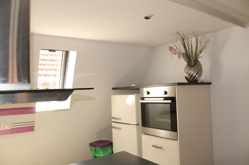 One-Bedroom Apartment image 2