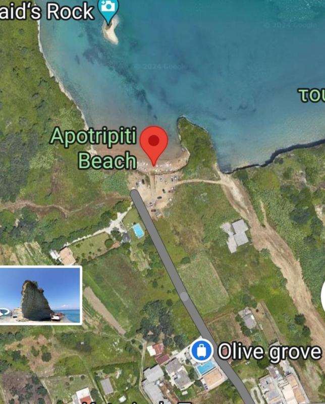 Deluxe Double or Twin Room with Pool View image 1