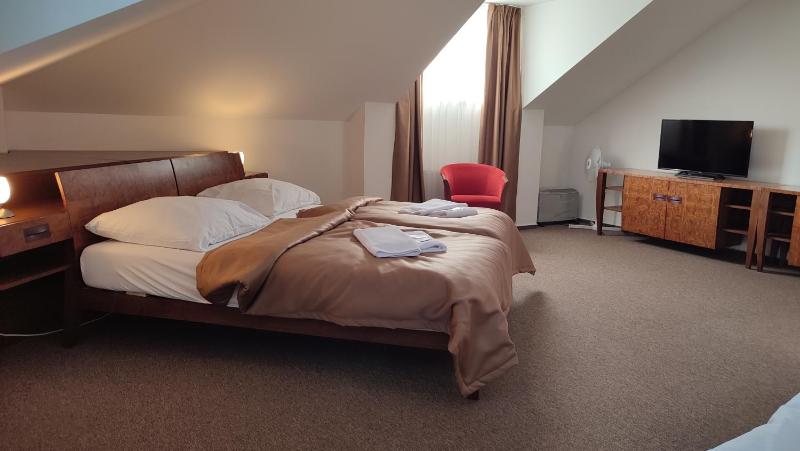 One-Bedroom Suite image 1