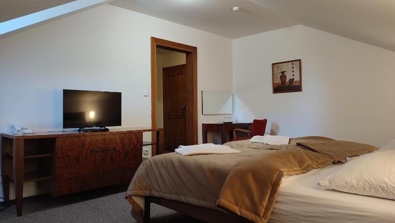 Double or Twin Room image 1