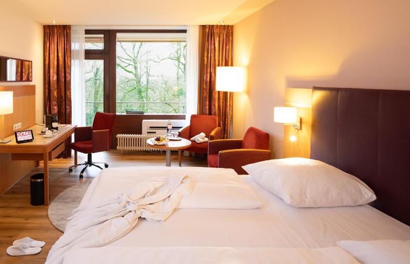 Superior Room image 4