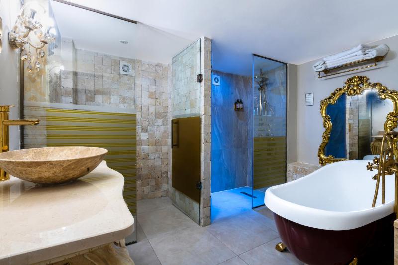 Deluxe Suite image 4
