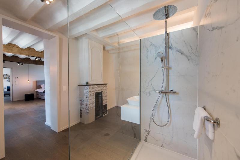 Standard Suite image 1