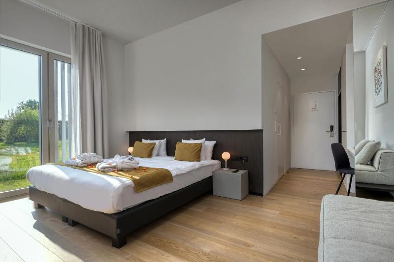 Deluxe King Room image 1