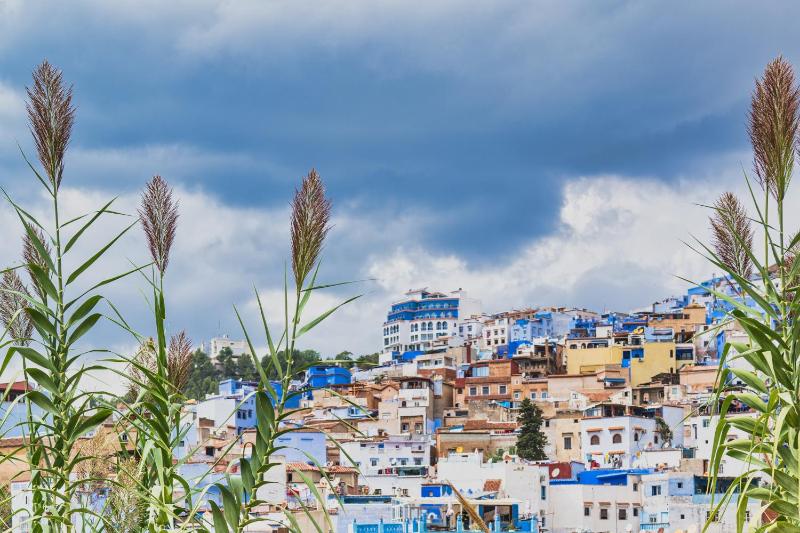 TAJ CHEFCHAOUEN Luxury Hotel and Spa - image 5