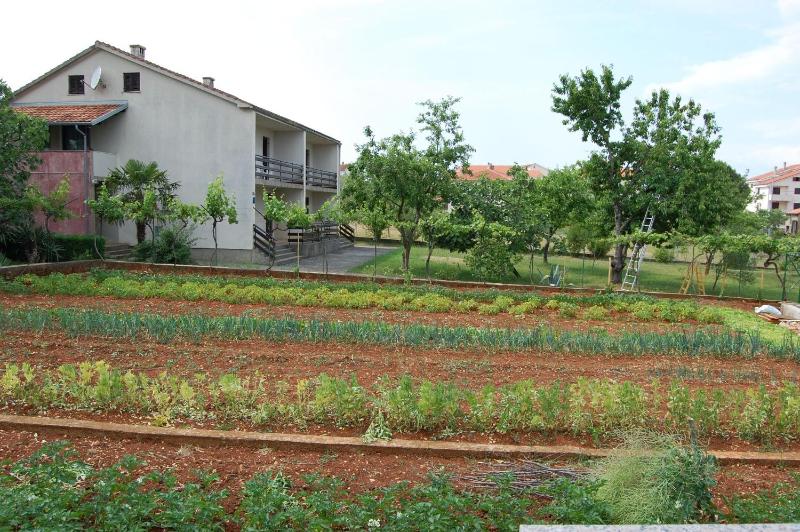 Apartment with Garden View image 4