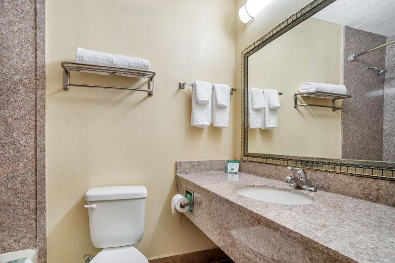 King Room - Non-Smoking image 3