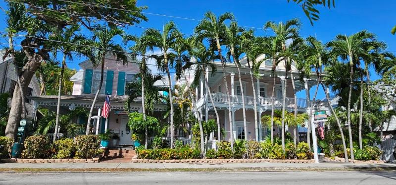 The Palms Hotel - image 19