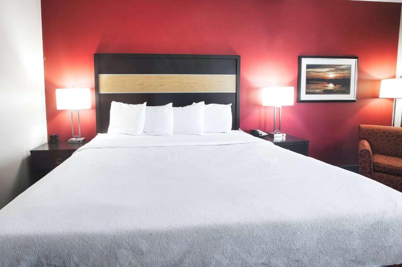 King Room - Disability Access image 1