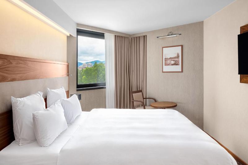Deluxe King Room image 4