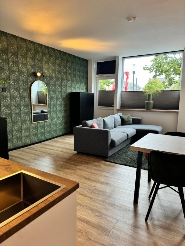 One-Bedroom Apartment image 3
