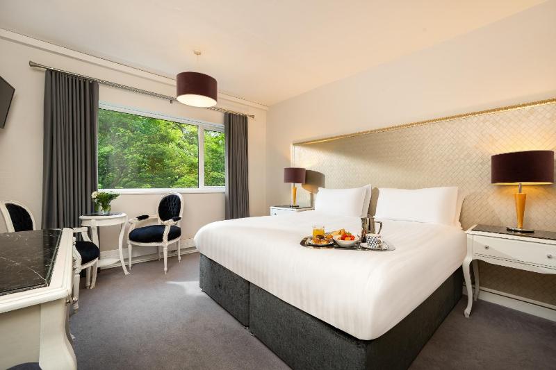 Deluxe Double Room image 3