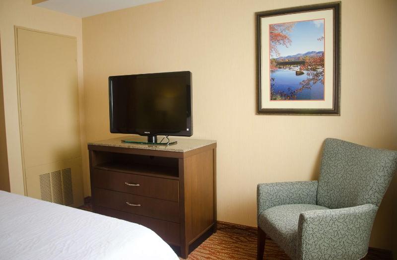 Junior King Suite with Sofa Bed image 2