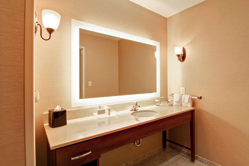 One-Bedroom King Suite - Non-Smoking image 2