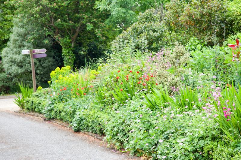Three-Bedroom Apartment image 3