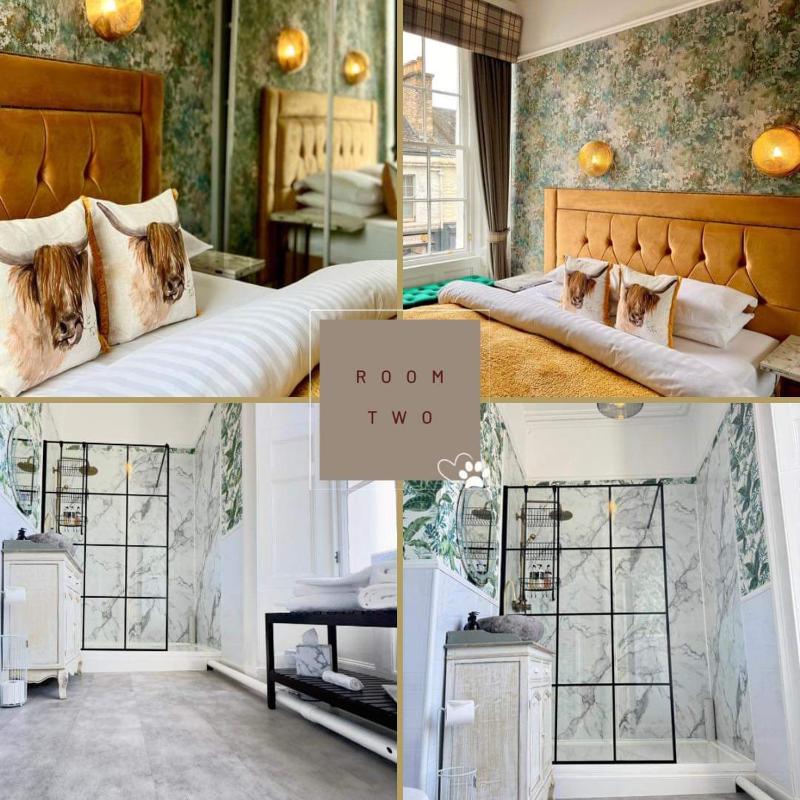 Deluxe Double Room image 4