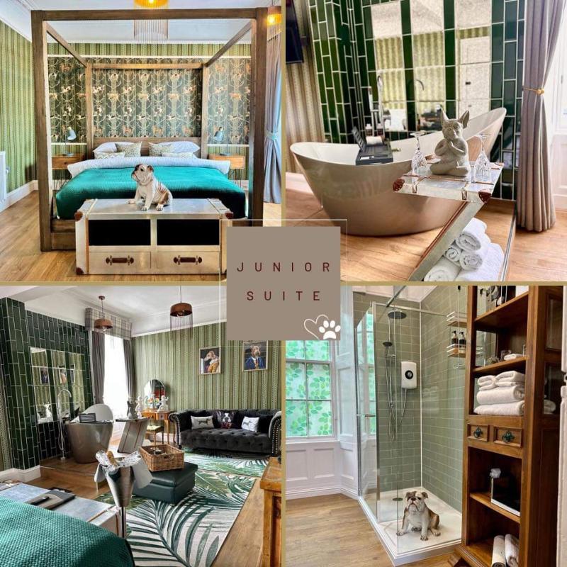 Junior Suite image 1