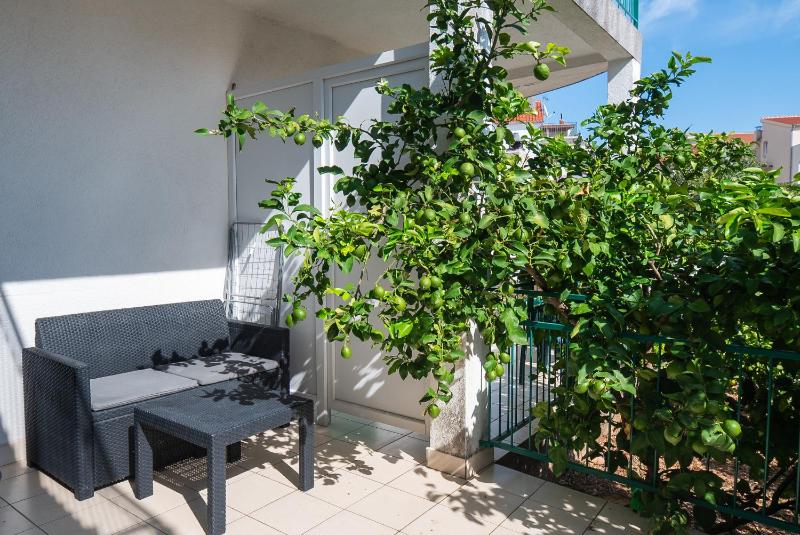 One-Bedroom apartment Standard image 1
