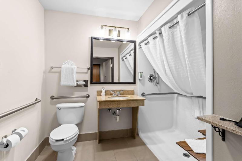 King Suite with Roll-In Shower and Balcony - Disability Access image 2