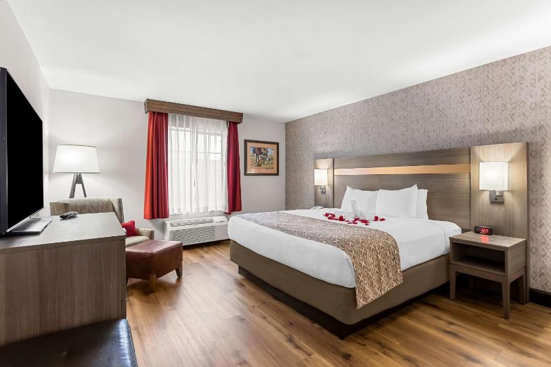 King Suite with Sofa Bed - Non-Smoking image 4
