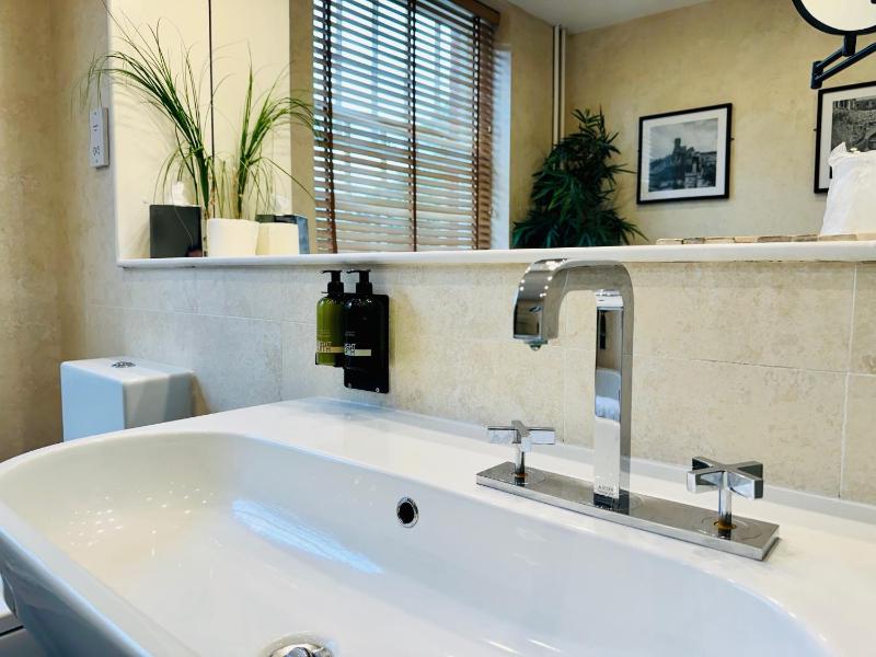 Deluxe Suite image 4